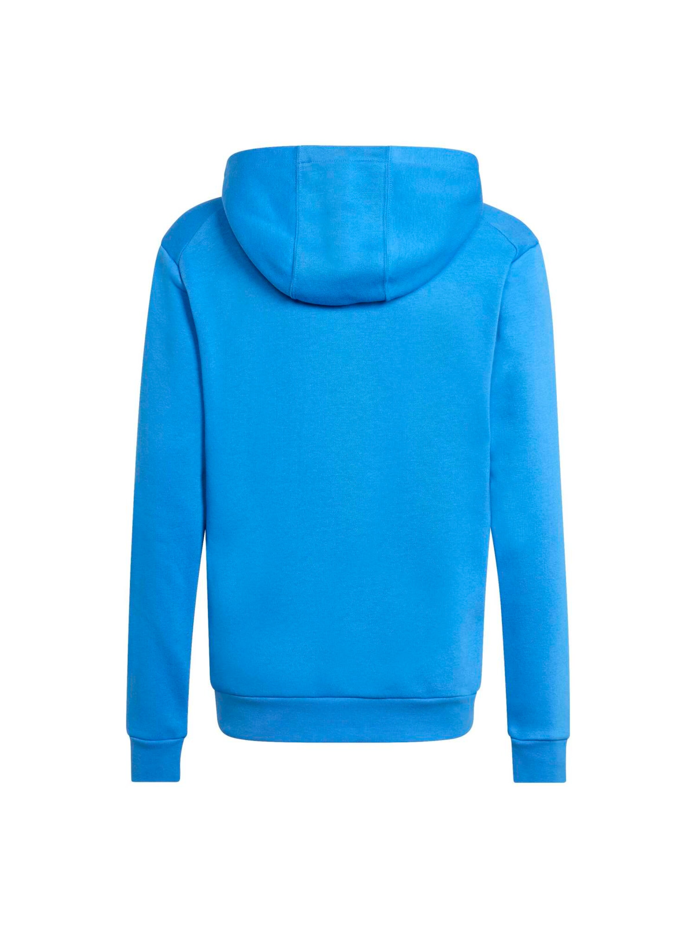 ADIDAS TERREX Urheilullinen collegepaita värissä sininen