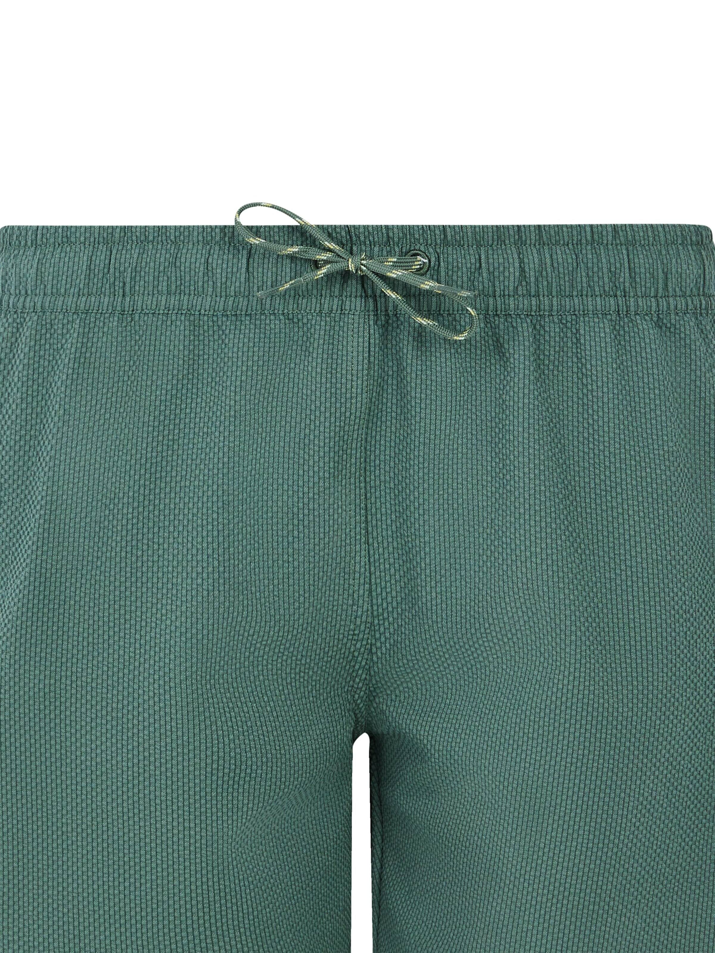 PROTEST Swimming Trunks 'PRTAgaat 25' in Green