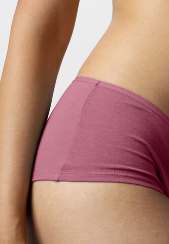 SNOCKS Boyshorts in Mixed colors