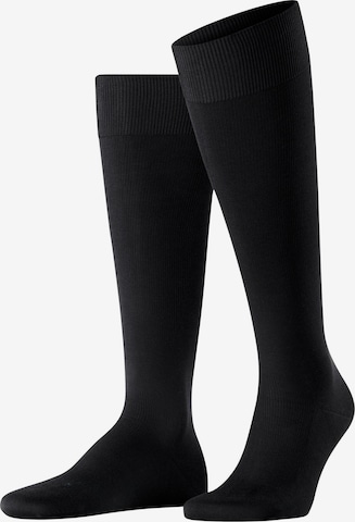 FALKE Knee High Socks 'Energizing Cotton' in Black: front