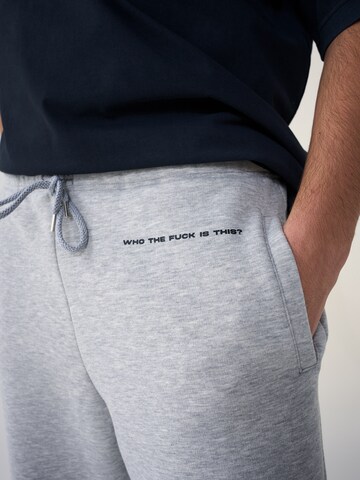 ABOUT YOU x Dardan Loosefit Broek 'Sammy' in Grijs