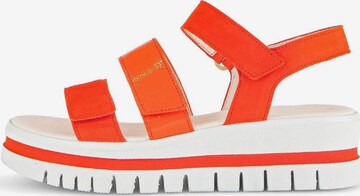 GABOR Sandale in Orange