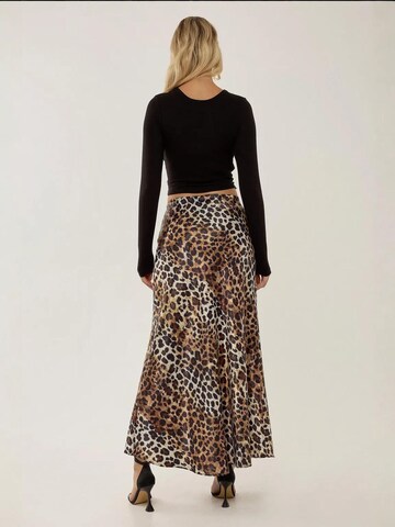 Hiccup Rock in Braun