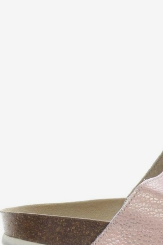 Apple of Eden Sandals & High-Heeled Sandals in 42 in Pink