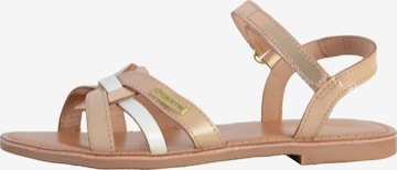 Sandales 'Ledersandalen für Kinder von Belarbi Baguera' Les Tropéziennes en or : devant
