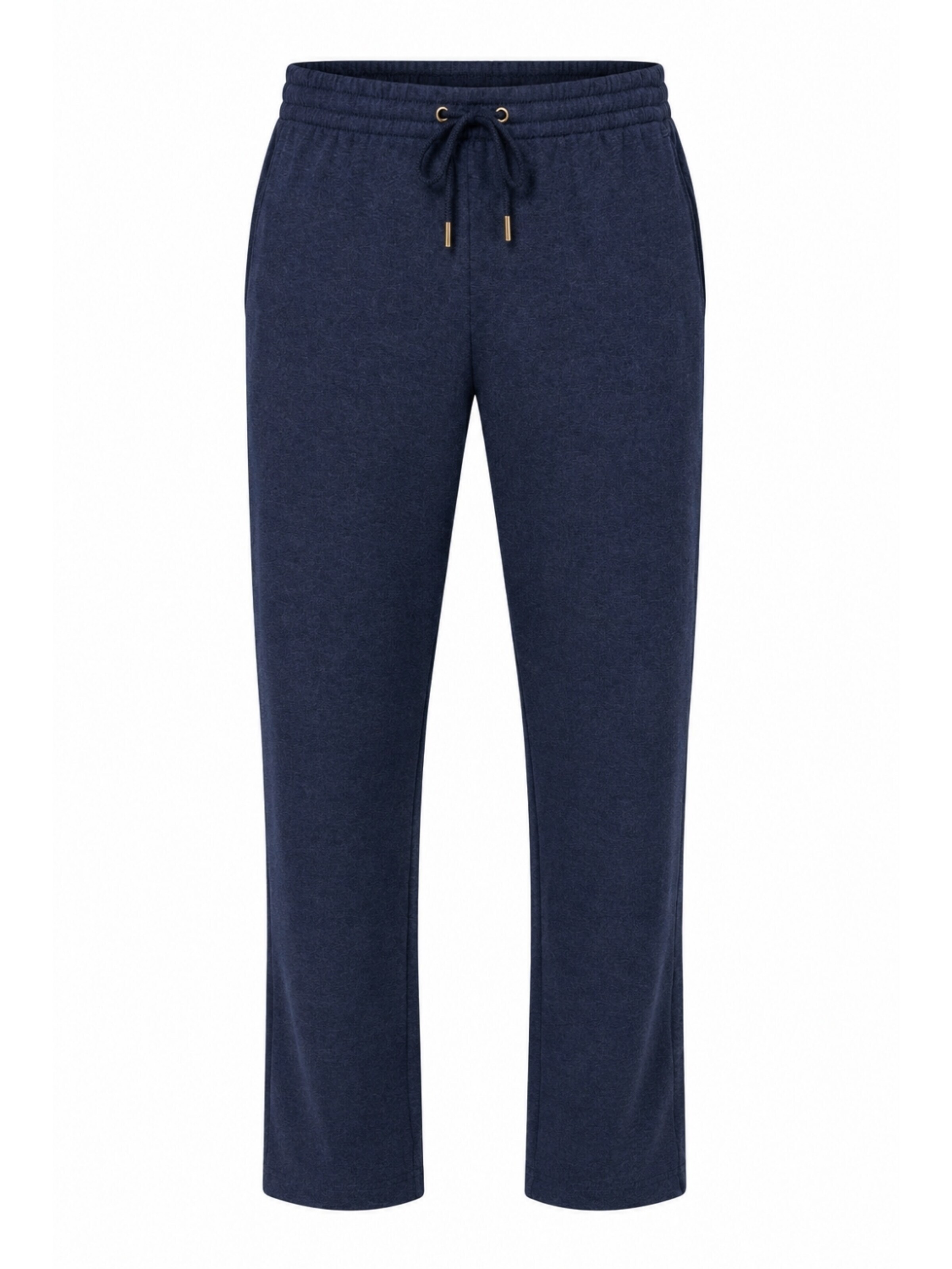 Smith & Solo Regular Pants 'Ross Camp Origin' in Blue: front