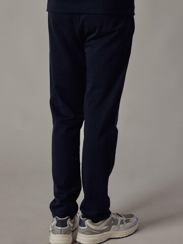 regular Pantaloni 'Joggers Dritti' di OWN Off With Nature in blu