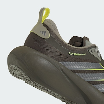 ADIDAS PERFORMANCE Laufschuh 'Supernova Rise 3' in Grün
