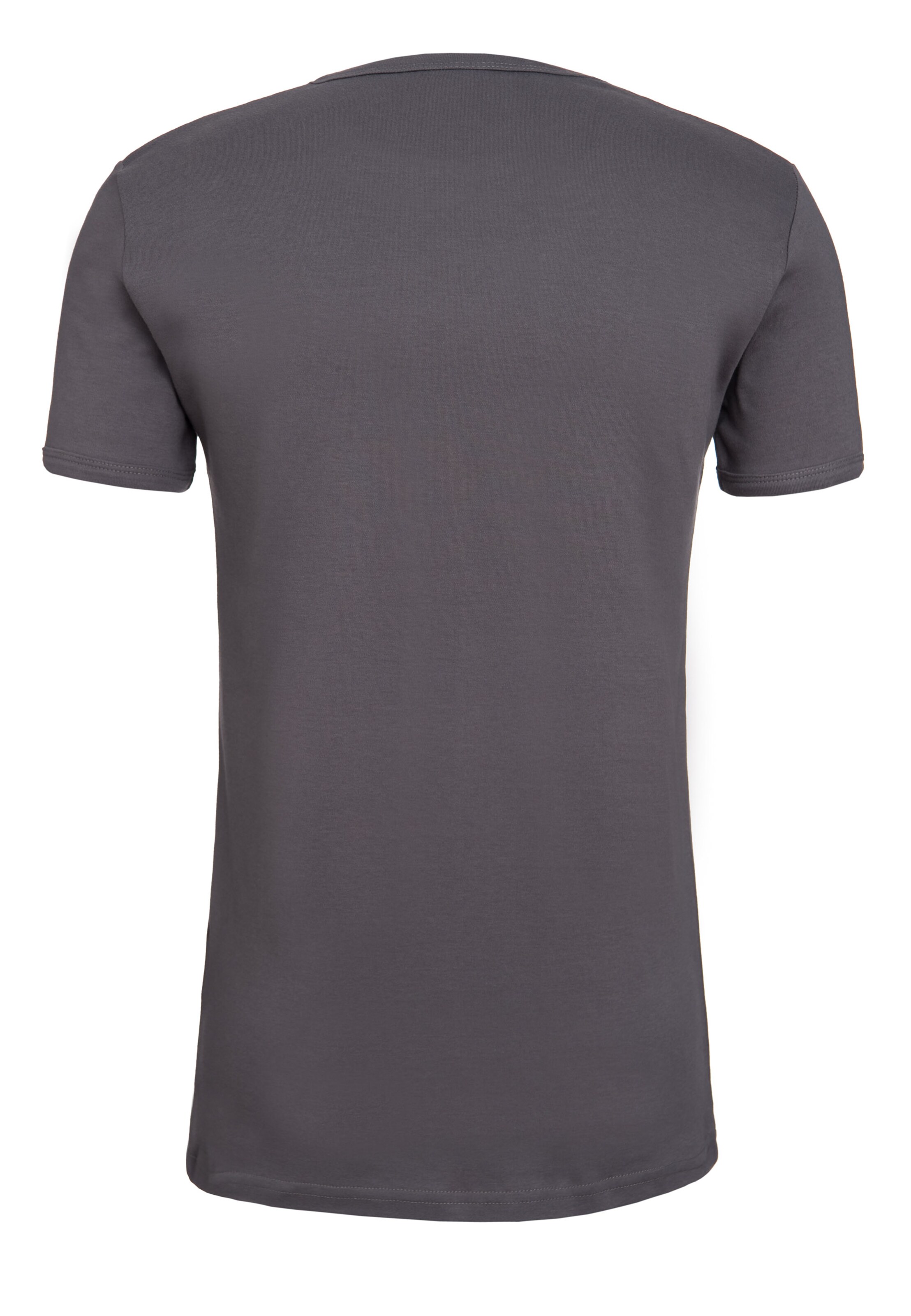 LOGOSHIRT T-Shirt in Grau