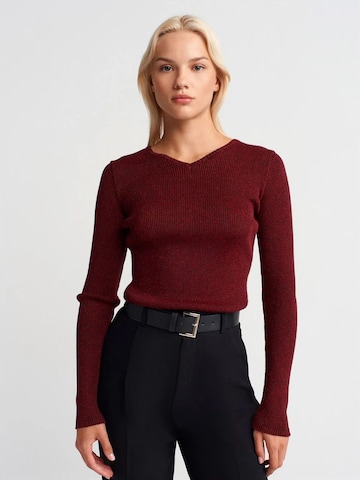 Pullover 'Pullover' di Dilvin in rosso: frontale