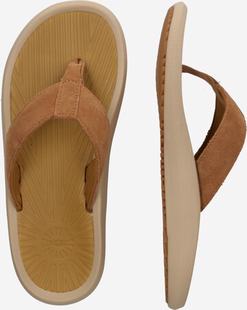 UGG T-Bar Sandals 'BROOKSIDE II' in Brown