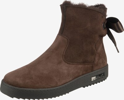 CAPRICE Winterstiefelette in dunkelbraun, Produktansicht