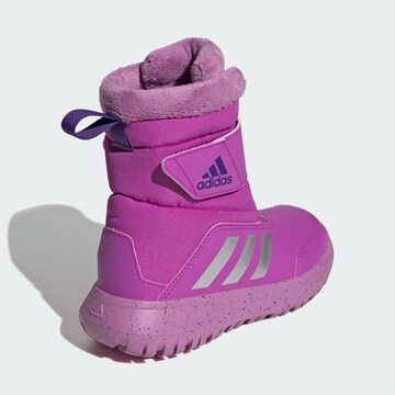 ADIDAS SPORTSWEAR Snowboots in Lila