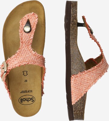 SCHOLL T-bar sandals 'ANAIS' in Orange
