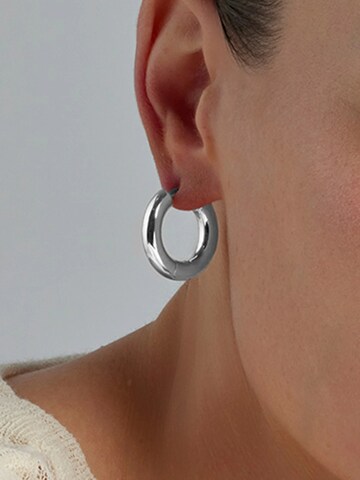 LUXBYLUX Earrings in Silver
