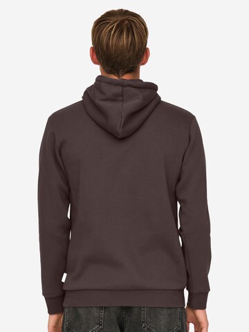 Only & Sons Sweatshirt 'Ceres' in Brown