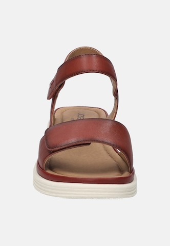 JOSEF SEIBEL Sandaal 'Sevran 01' in Rood