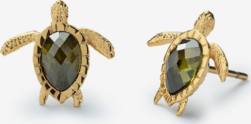 Paul Hewitt Earrings 'Turtle' in Gold: front