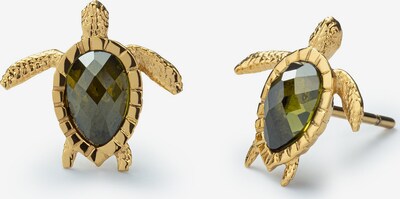 Cercei 'Turtle' Paul Hewitt pe auriu / oliv, Vizualizare produs