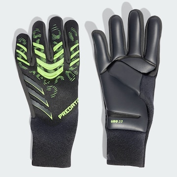 ADIDAS PERFORMANCE Sporthandschoenen 'Predator Pro' in Zwart: voorkant