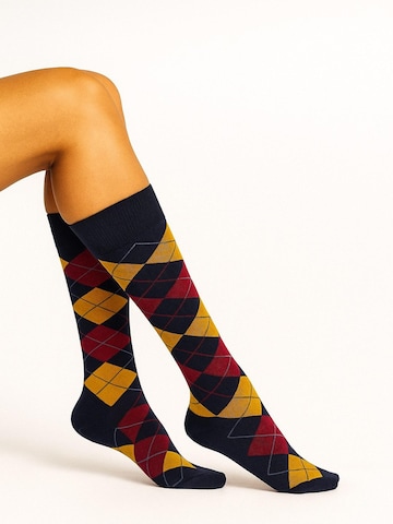 Lycille Kniestrümpfe in Blau