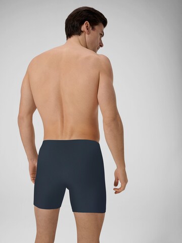 Boxers ' Close To You ' Ammann en bleu