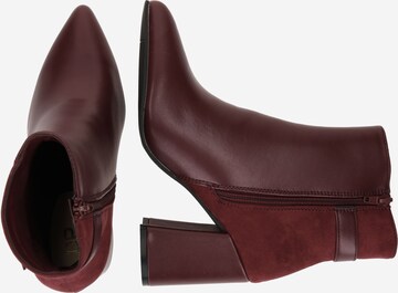 Bottines Dorothy Perkins en rouge