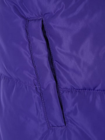 ONLY Carmakoma Winter jacket 'BECCA' in Purple