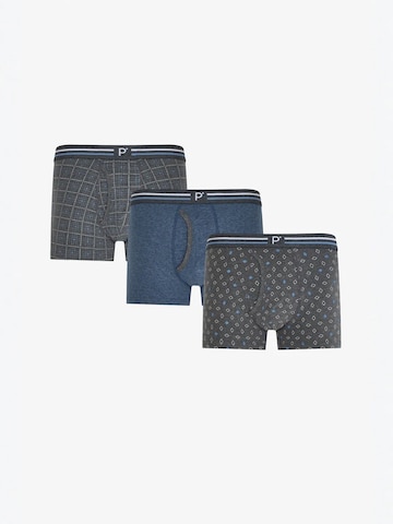 Penti Boxershorts 'PENTI Herren Blend gestreifte Boxershorts'‌‌‌‌‌‌‌‌‌‌ in Grau: Vorderseite