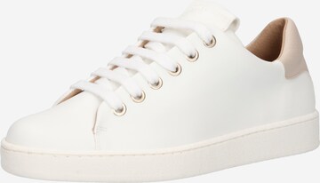 JUTELAUNE Sneakers in White: front