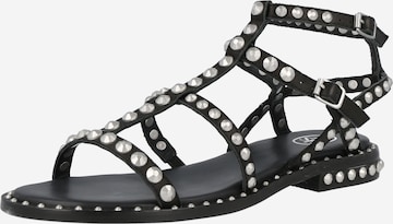 ASH Strap Sandals 'PRECIOUS' in Black: front