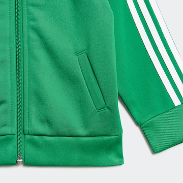 ADIDAS ORIGINALS Regular Sweatsuit 'Adicolor' in Green