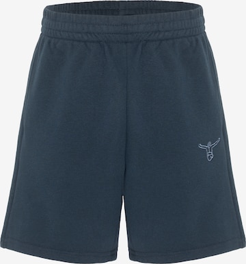 CHIEMSEE Pants ' mit elastischem Bund ' in Blue: front