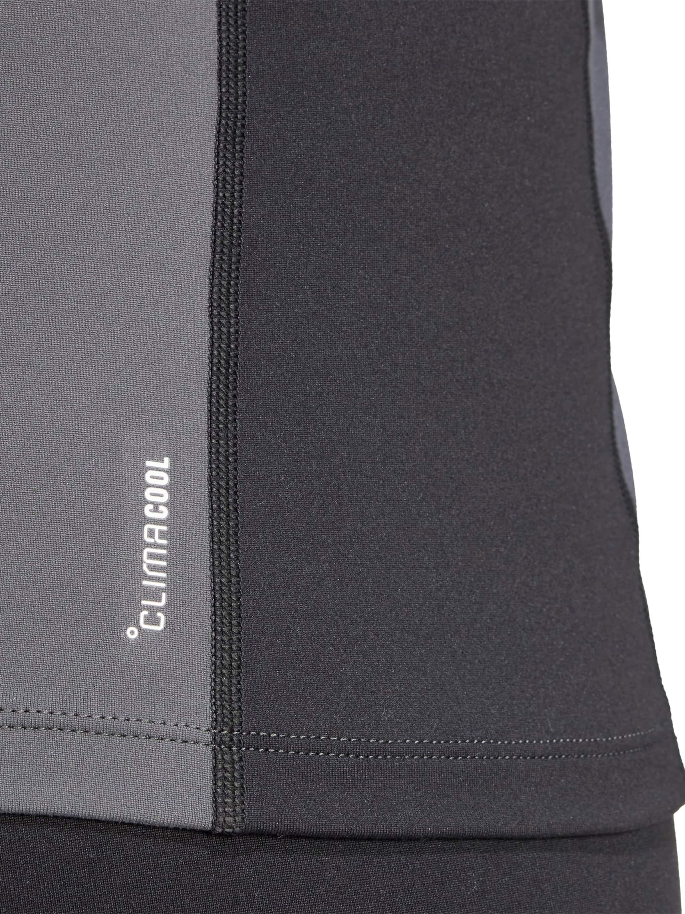 ADIDAS TERREX - Camiseta funcional 'Multi Synthetic Base Layer Long' en gris