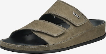Mule vital en vert : devant