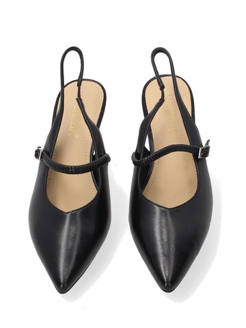 VENEZIA Pumps in Black
