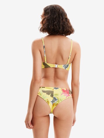 Desigual Bikinitrusse i blandingsfarvet