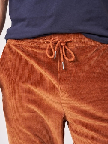 Regular Pantalon Deeluxe en marron