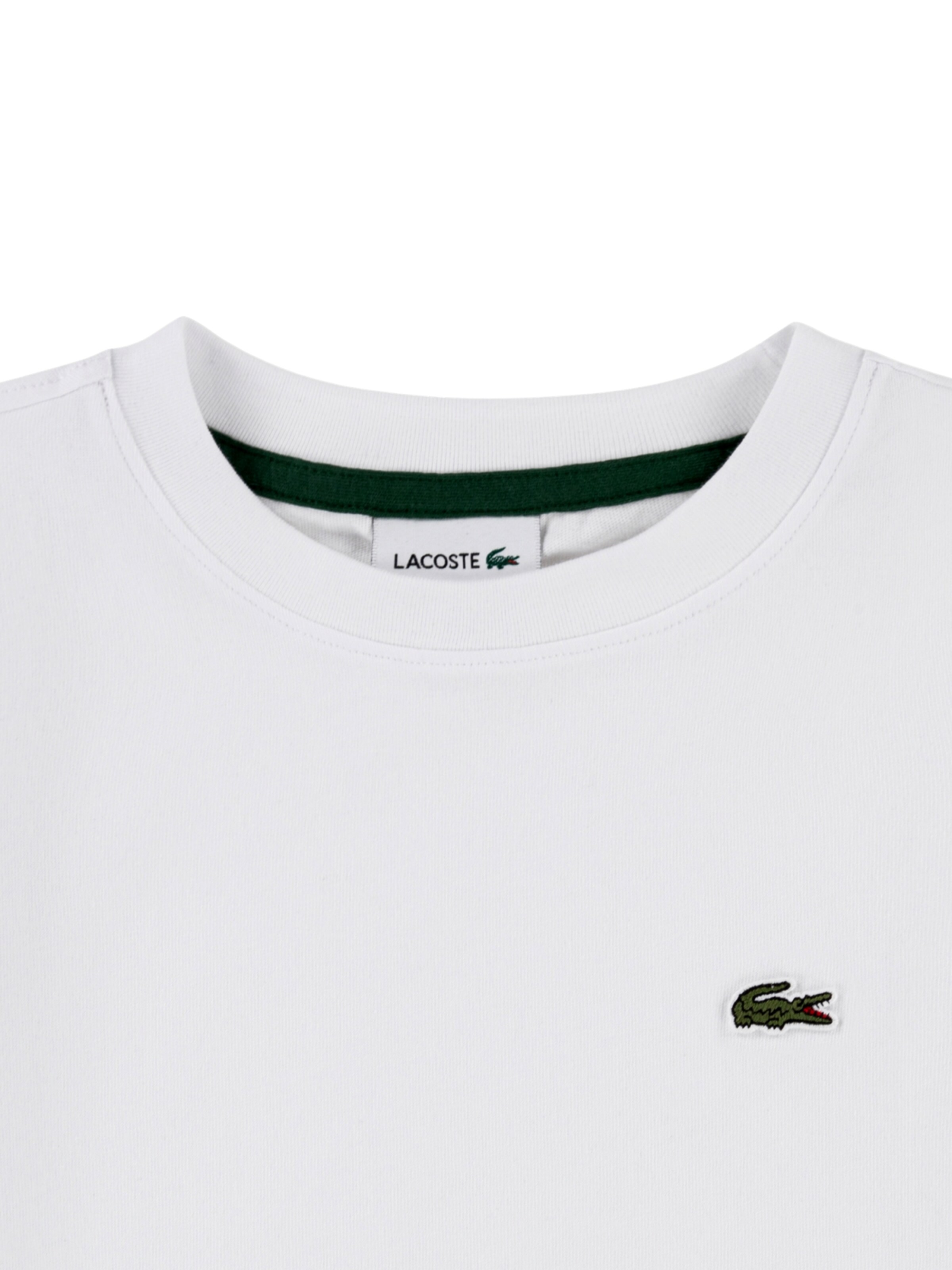 Maglietta di LACOSTE in bianco