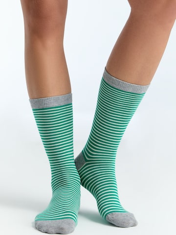 Albero Natur Socken‌‌‌‌‌‌‌ in Grün