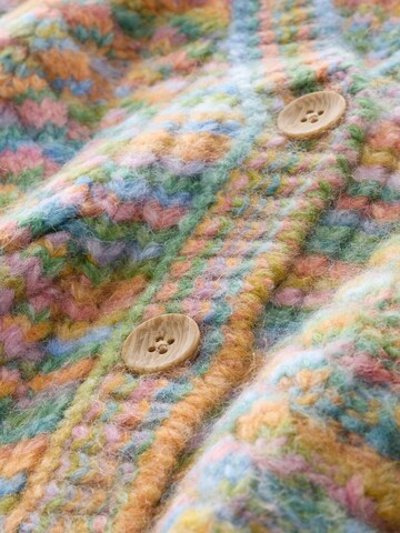 Next Gebreid vest in Gemengde kleuren