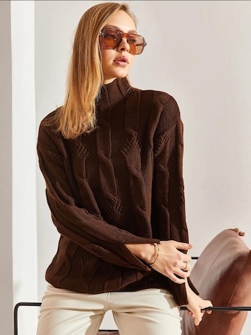 Pull-over Bianco Lucci en marron
