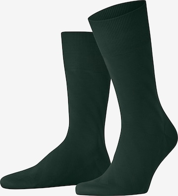 FALKE Socken 'ClimaWool Special Edition' in Grün: Vorderseite