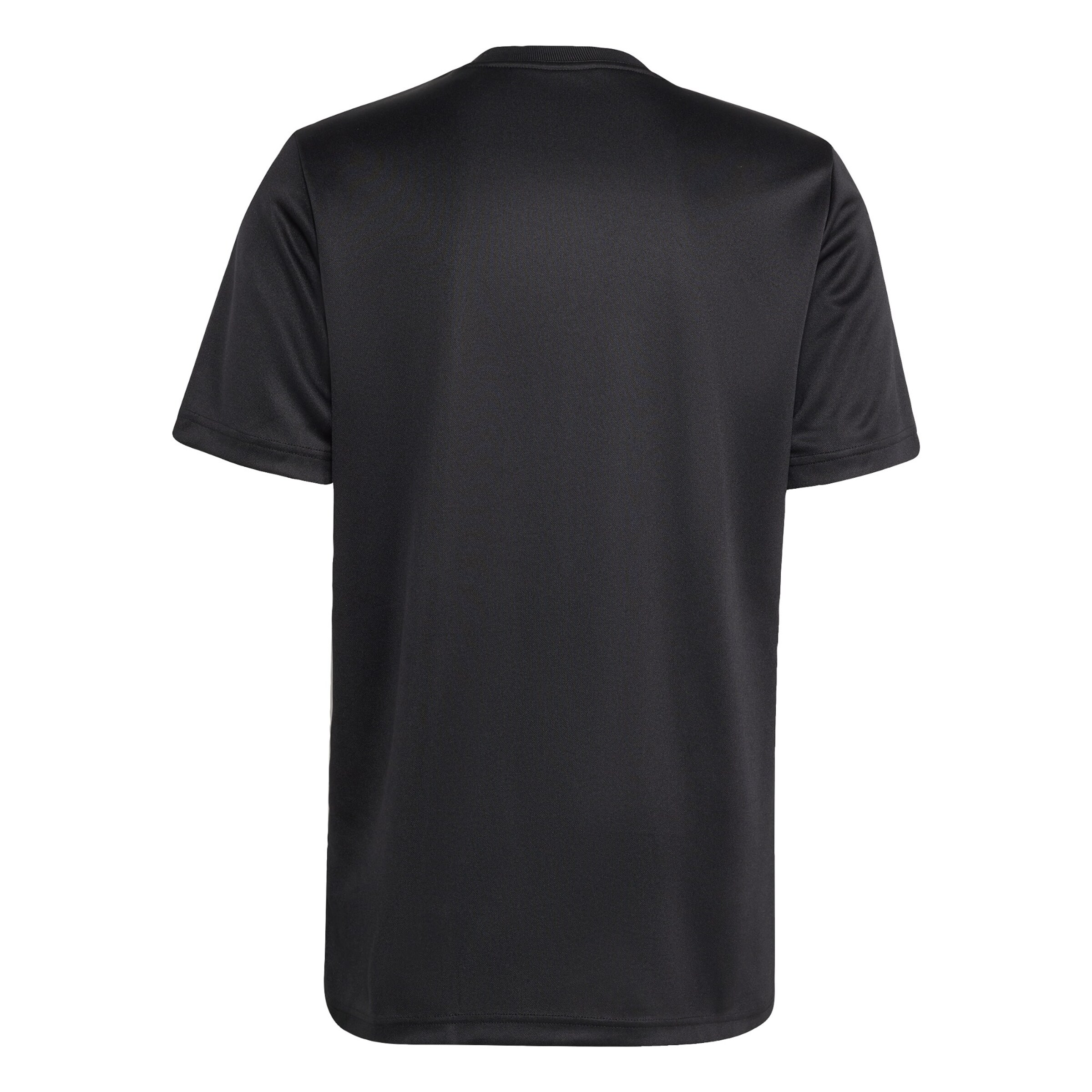 ADIDAS PERFORMANCE - Camiseta funcional 'All Blacks Supporter' en negro