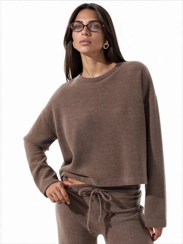 Busem Pulover 'Pullover' | rjava barva: sprednja stran