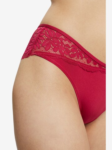 ESPRIT Panty in Rot