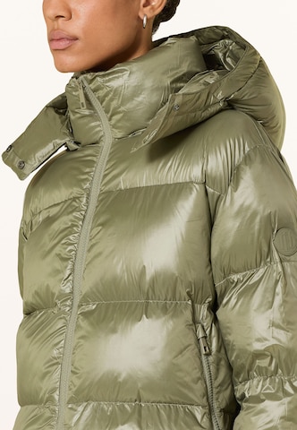 darling harbour Pufferjacke in Grün: Vorderseite