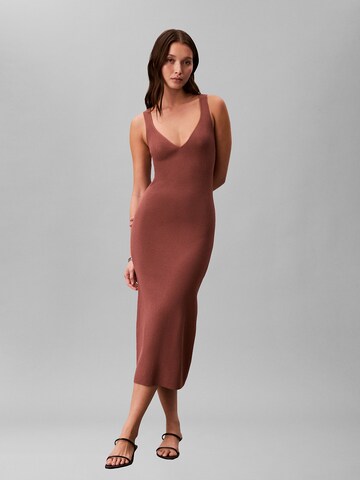 Calvin Klein Kleid in Braun: Vorderseite