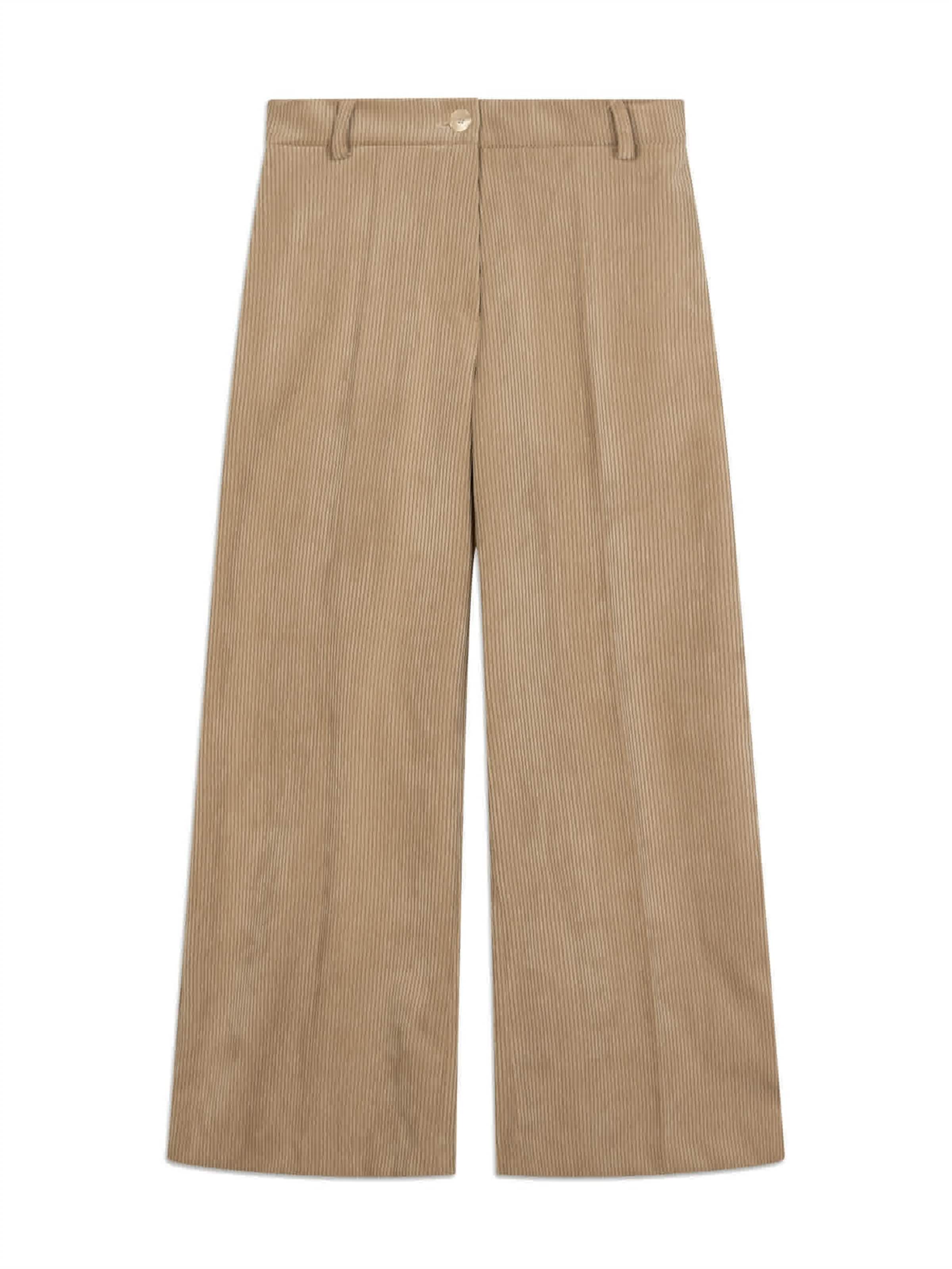 Regular Pantalon à plis ' ' NAULOVER en marron : devant