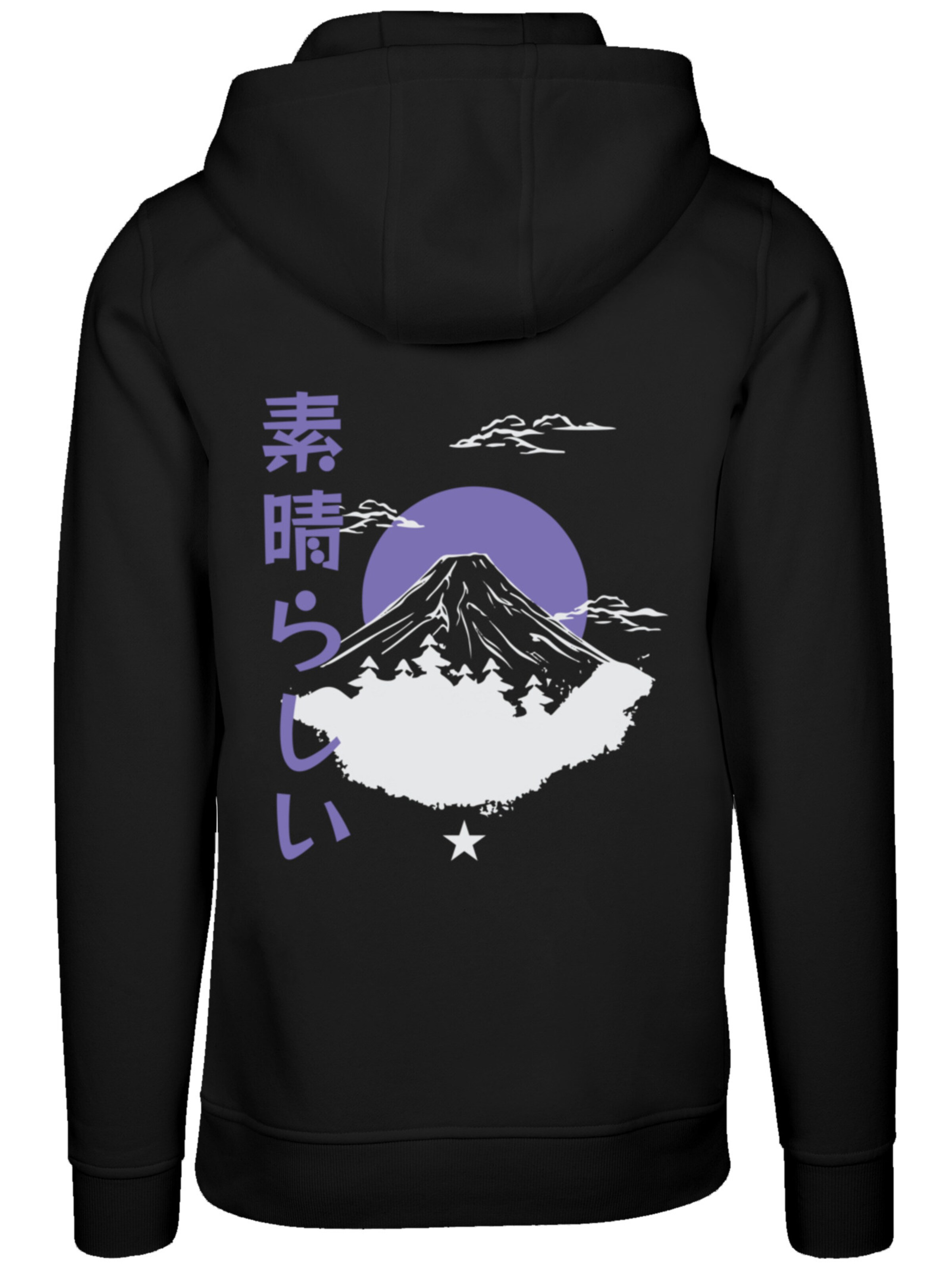 Pull-over 'Mount Fuji' F4NT4STIC en noir